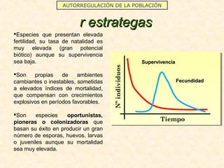 AUTORREGULACIÓN DE LA POBLACIÓN
r estrategasr estrategas
Especies que presentan elevada
fertilidad, su tasa de natalidad es
muy elevada (gran potencial
biótico) aunque su supervivencia
sea baja.
Son propias de ambientes
cambiantes o inestables, sometidas
a elevados índices de mortalidad,
que compensan con crecimientos
explosivos en períodos favorables.
Son especies oportunistas,
pioneras o colonizadoras que
basan su éxito en producir un gran
número de esporas, huevos, larvas
o juveniles aunque su mortalidad
sea muy elevada.
Nºindividuos Tiempo
SupervivenciaSupervivencia
FecundidadFecundidad
 