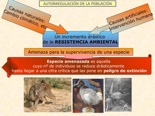 Especie amenazada es aquella
cuyo nº de individuos se reduce drásticamente
hasta llegar a una cifra crítica que las pone en peligro de extinción
AUTORREGULACIÓN DE LA POBLACIÓN
Un incremento drástico
de la RESISTENCIA AMBIENTAL
Causas naturales:
Cambio climático, etc
Causas artificiales:
Intervención humana
Amenaza para la supervivencia de una especie
 