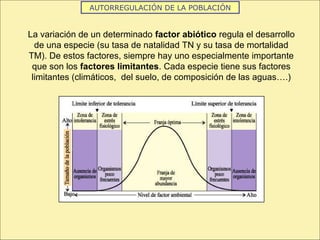 AUTORREGULACIÓN DE LA POBLACIÓN
La variación de un determinado factor abiótico regula el desarrollo
de una especie (su tasa de natalidad TN y su tasa de mortalidad
TM). De estos factores, siempre hay uno especialmente importante
que son los factores limitantes. Cada especie tiene sus factores
limitantes (climáticos, del suelo, de composición de las aguas….)
 
