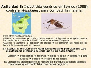Actividad 3: Insecticida genérico en Borneo (1985)
contra el Anopheles, para combatir la malaria.
Mató otros muchos insectos:
Moscas y cucarachas  murieron envenenados los lagartos y los gatos que se
los comían  aumentó la población de ratas  apareció la peste.
Avispas  aumentó la población de orugas  se comieron las hojas de los
techos de las casas, que se cayeron.
a) Explicar la relación entre todos los seres vivos participantes. ¿De
qué dependía el tamaño de cada una de las poblaciones?
Dieldrín  cucarachas  lagartos  gatos  ratas  pulgas  peste
avispas  orugas  tejados de las casas
Es un caso de efecto dominó: el número de individuos dependía de otras
poblaciones, que lo controlaban con bucles negativos.
 