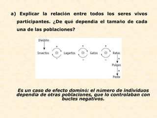 a) Explicar la relación entre todos los seres vivos
participantes. ¿De qué dependía el tamaño de cada
una de las poblaciones?
Es un caso de efecto dominó: el número de individuos
dependía de otras poblaciones, que lo controlaban con
bucles negativos.
 