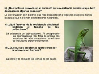 b) ¿Qué factores provocaron el aumento de la resistencia ambiental que hizo
desaparecer algunas especies?
La pulverización con dieldrín, que hizo desaparecer a todas las especies menos
las ratas (que no tenían depredadores naturales).
c) ¿Qué factores de la resistencia ambiental
limitaban el tamaño de las
poblaciones?
La existencia de depredadores. Al desaparecer
los depredadores (por falta de presas, los
insectos), las ratas aumentaron su número
de individuos exponencialmente.
d) ¿Qué nuevos problemas aparecieron por
la intervención humana?
La peste y la caída de los techos de las casas.
 
