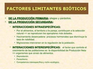 FACTORES LIMITANTES BIÓTICOS
• DE LA PRODUCCIÓN PRIMARIADE LA PRODUCCIÓN PRIMARIA:: plagas y parásitos.
• DE LA PRODUCCIÓN SECUNDARIADE LA PRODUCCIÓN SECUNDARIA::
– INTERACCIONES INTRAESPECÍFICAS:INTERACCIONES INTRAESPECÍFICAS:
• Por el alimentos, el territorio o la pareja, contribuyen a la selección
natural => se reproducen los ejemplares más dotados.
• Hacinamiento desencadena procesos hormonales que disminuye la
tasa de natalidad.
• Migraciones intervienen en la regulación de la población.
– INTERACCIONES INTERESPECÍFICAS:INTERACCIONES INTERESPECÍFICAS: el factor que controla el
crecimiento de las poblaciones es la disponibilidad de Producción Neta
=> organismos que sirven de alimentos.
• Depredación.
• Parasitismo.
• Competencia interespecífica y nicho ecológico.
 