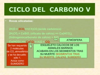 CICLO DEL CARBONO V
• Rocas silicatadas:
2H2O + 2CO2 =>2 H2CO3 (ácido carbónico)
2H2CO3 + CaSiO3 (silicato de calcio) => Ca(HCO3)2
(hidrogenocarbonato de calcio) + SiO2.
Ca(HCO3)2 => CaCO3 + H2O + CO2
ESQUELETO CÁLCICOS DE LOS
ANIMALES MARINOS
ACABARA EN LOS SEDIMENTOS TRAS
SU MUERTE SEDIMENTOS TRAS
SU MUERTE: CALIZAS: SUMIDERO
ATMÓSFERA
Se han requerido
2 moléculas
de CO2 atmosférico
y se ha devuelto
sólo 1.
Actúa como
SUMIDERO
 