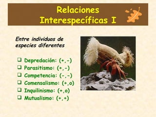 Relaciones
Interespecíficas I
Entre individuos de
especies diferentes
 Depredación: (+,-)
 Parasitismo: (+,-)
 Competencia: (-,-)
 Comensalismo: (+,o)
 Inquilinismo: (+,o)
 Mutualismo: (+,+)
 