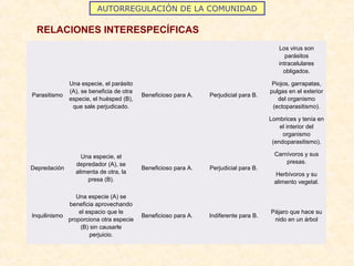 AUTORREGULACIÓN DE LA COMUNIDAD
Parasitismo
Una especie, el parásito
(A), se beneficia de otra
especie, el huésped (B),
que sale perjudicado.
Beneficioso para A. Perjudicial para B.
Los virus son
parásitos
intracelulares
obligados.
Piojos, garrapatas,
pulgas en el exterior
del organismo
(ectoparasitismo).
Lombrices y tenía en
el interior del
organismo
(endoparasitismo).
Depredación
Una especie, el
depredador (A), se
alimenta de otra, la
presa (B).
Beneficioso para A. Perjudicial para B.
Carnívoros y sus
presas.
Herbívoros y su
alimento vegetal.
Inquilinismo
Una especie (A) se
beneficia aprovechando
el espacio que le
proporciona otra especie
(B) sin causarle
perjuicio.
Beneficioso para A. Indiferente para B.
Pájaro que hace su
nido en un árbol
RELACIONES INTERESPECÍFICAS
 