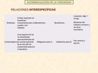 AUTORREGULACIÓN DE LA COMUNIDAD
RELACIONES INTERESPECÍFICAS
Simbiosis
Ambas especies se
benefician
mutuamente pero no
pueden vivir
aisladas.
Beneficioso. Beneficioso.
Líquenes: alga +
hongo.
Bacterias del
intestino humano y
de otros
mamíferos.
Comensalismo
Una especie (A) se
ve beneficiada
aprovechándose de
la comida sobrante
de la otra (B) sin
ocasionarle perjuicio
ni beneficio.
Obligatorio para A. Indiferente para B.
Pez rémora y
tiburón.
 