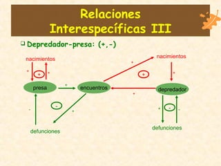 Relaciones
Interespecíficas III
presa depredadorencuentros
nacimientosnacimientos
defunciones
defunciones
+
-
+
-
 Depredador-presa: (+,-)
+ +
+
+
+
+
+
+
- -
 