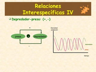 Relaciones
Interespecíficas IV
presa depredador
 Depredador-presa: (+,-)
+
-
-
presa
depredador
Densidad
población
tiempo
 