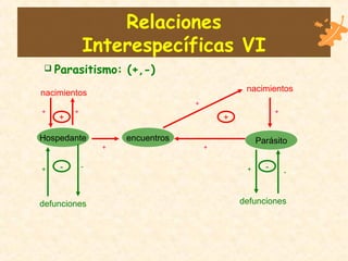 Relaciones
Interespecíficas VI
Hospedante Parásitoencuentros
nacimientosnacimientos
defunciones defunciones
+
-
+
-
 Parasitismo: (+,-)
-
-+
+
+
+
+ +
++
 