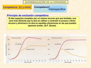 AUTORREGULACIÓN DE LA COMUNIDAD
Competencia (C) y nicho Competencia
Interespecífica
Si dos especies compiten por un mismo recurso que sea limitado, una
será más eficiente que la otra en utilizar o controlar el acceso a dicho
recurso y eliminará a la otra en aquellas situaciones en las que puedan
aparecer juntas. (G.F. Gause)
Principio de exclusión competitiva
 