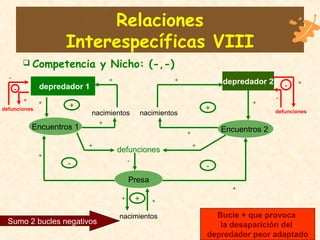 Relaciones
Interespecíficas VIII
Encuentros 1 Encuentros 2
Presa
depredador 2
depredador 1
defunciones
+
-
+
-
 Competencia y Nicho: (-,-)
+
-
+
+
+
++
+
+
+
nacimientos nacimientos
+
nacimientos
++
defuncionesdefunciones
+
-
--
+
-
+
Sumo 2 bucles negativos
Bucle + que provoca
la desaparición del
depredador peor adaptado
 