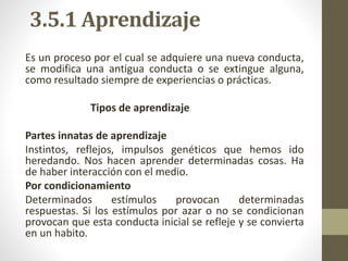 3.5.1 Aprendizaje
Es un proceso por el cual se adquiere una nueva conducta,
se modifica una antigua conducta o se extingue alguna,
como resultado siempre de experiencias o prácticas.
Tipos de aprendizaje
Partes innatas de aprendizaje
Instintos, reflejos, impulsos genéticos que hemos ido
heredando. Nos hacen aprender determinadas cosas. Ha
de haber interacción con el medio.
Por condicionamiento
Determinados estímulos provocan determinadas
respuestas. Si los estímulos por azar o no se condicionan
provocan que esta conducta inicial se refleje y se convierta
en un habito.
 