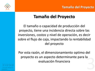 Tamaño del ProyectoTamaño del ProyectoEl tamaño o capacidad de producción del proyecto, tiene una incidencia directa sobre las inversiones, costos y nivel de operación, es decir sobre el flujo de caja, impactando la rentabilidad del proyectoPor esta razón, el dimensionamiento optimo del proyecto es un aspecto determinante para la evaluación financiera  3