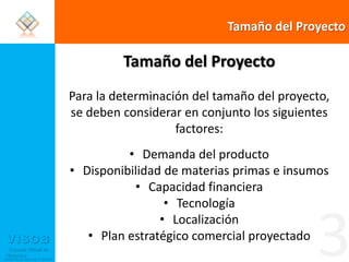 Tamaño del ProyectoTamaño del ProyectoPara la determinación del tamaño del proyecto, se deben considerar en conjunto los siguientes factores:Demanda del productoDisponibilidad de materias primas e insumosCapacidad financieraTecnología LocalizaciónPlan estratégico comercial proyectado3