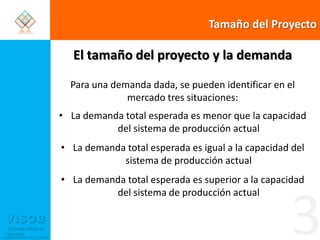 Tamaño del ProyectoEl tamaño del proyecto y la demandaPara una demanda dada, se pueden identificar en el mercado tres situaciones:La demanda total esperada es menor que la capacidad del sistema de producción actualLa demanda total esperada es igual a la capacidad del sistema de producción actualLa demanda total esperada es superior a la capacidad del sistema de producción actual3