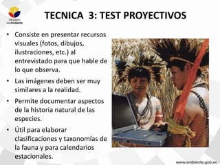 TECNICA 3: TEST PROYECTIVOS
• Consiste en presentar recursos
visuales (fotos, dibujos,
ilustraciones, etc.) al
entrevistado para que hable de
lo que observa.
• Las imágenes deben ser muy
similares a la realidad.
• Permite documentar aspectos
de la historia natural de las
especies.
• Útil para elaborar
clasificaciones y taxonomías de
la fauna y para calendarios
estacionales.
 