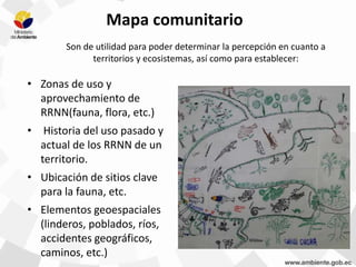 Mapa comunitario
Son de utilidad para poder determinar la percepción en cuanto a
territorios y ecosistemas, así como para establecer:
• Zonas de uso y
aprovechamiento de
RRNN(fauna, flora, etc.)
• Historia del uso pasado y
actual de los RRNN de un
territorio.
• Ubicación de sitios clave
para la fauna, etc.
• Elementos geoespaciales
(linderos, poblados, ríos,
accidentes geográficos,
caminos, etc.)
 