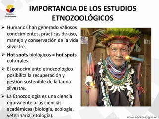 Santos Fita et al 2009.
IMPORTANCIA DE LOS ESTUDIOS
ETNOZOOLÓGICOS
 Humanos han generado valiosos
conocimientos, prácticas de uso,
manejo y conservación de la vida
silvestre.
 Hot spots biológicos = hot spots
culturales.
 El conocimiento etnozoológico
posibilita la recuperación y
gestión sostenible de la fauna
silvestre.
 La Etnozoología es una ciencia
equivalente a las ciencias
académicas (biología, ecología,
veterinaria, etología).
 