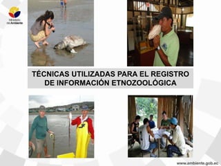 TÉCNICAS UTILIZADAS PARA EL REGISTRO
DE INFORMACIÓN ETNOZOOLÓGICA
 