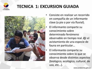 TECNICA 1: EXCURSION GUIADA
• Consiste en realizar un recorrido
en compañía de un informante
clave (a pie o por vía fluvial).
• El informante comparte su
conocimiento sobre
determinado fenómeno
observable en tiempo real. Ej: el
avistamiento de una especie de
fauna en particular…
• El informante comparte su
conocimiento sobre lo que se
observa desde distintos aspectos
(biológico, ecológico, cultural, de
uso, etc…).
 