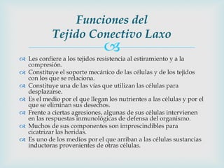 Funciones del
            Tejido Conectivo Laxo
                               
 Les confiere a los tejidos resistencia al estiramiento y a la
  compresión.
 Constituye el soporte mecánico de las células y de los tejidos
  con los que se relaciona.
 Constituye una de las vías que utilizan las células para
  desplazarse.
 Es el medio por el que llegan los nutrientes a las células y por el
  que se eliminan sus desechos.
 Frente a ciertas agresiones, algunas de sus células intervienen
  en las respuestas inmunológicas de defensa del organismo.
 Muchos de sus componentes son imprescindibles para
  cicatrizar las heridas.
 Es uno de los medios por el que arriban a las células sustancias
  inductoras provenientes de otras células.
 