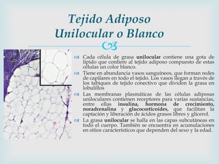 Tejido Adiposo
Unilocular o Blanco
               
    Cada célula de grasa unilocular contiene una gota de
     lípido ...