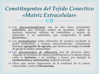 Constituyentes del Tejido Conectivo
       «Matriz Extracelular»
                              
  Los glucosaminoglicano...