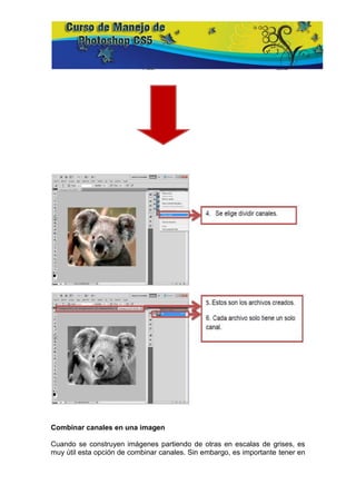 Combinar canales en una imagen

Cuando se construyen imágenes partiendo de otras en escalas de grises, es
muy útil esta opción de combinar canales. Sin embargo, es importante tener en
 
