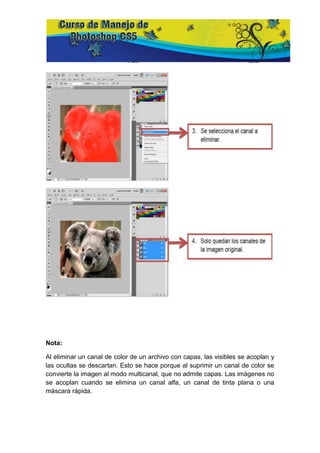 Nota:

Al eliminar un canal de color de un archivo con capas, las visibles se acoplan y
las ocultas se descartan. Esto se hace porque al suprimir un canal de color se
convierte la imagen al modo multicanal, que no admite capas. Las imágenes no
se acoplan cuando se elimina un canal alfa, un canal de tinta plana o una
máscara rápida.
 