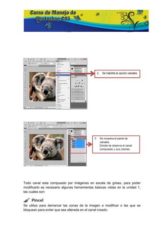 Todo canal esta compuesto por imágenes en escala de grises, para poder
modificarlo es necesario algunas herramientas básicas vistas en la unidad 1,
las cuales son:



Se utiliza para demarcar las zonas de la imagen a modificar o las que se
bloquean para evitar que sea alterada en el canal creado.
 