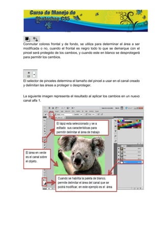 Conmutar colores frontal y de fondo, se utiliza para determinar el área a ser
modificada o no, cuando el frontal es negro todo lo que se demarque con el
pincel será protegido de los cambios, y cuando este en blanco se desprotegerá
para permitir los cambios.




El selector de pinceles determina el tamaño del pincel a usar en el canal creado
y delimitan las áreas a proteger o desproteger.


La siguiente imagen representa el resultado al aplicar los cambios en un nuevo
canal alfa 1.
 