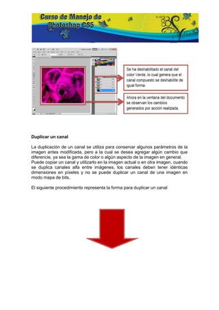 Duplicar un canal

La duplicación de un canal se utiliza para conservar algunos parámetros de la
imagen antes modificada, pero a la cual se desea agregar algún cambio que
diferencie, ya sea la gama de color o algún aspecto de la imagen en general.
Puede copiar un canal y utilizarlo en la imagen actual o en otra imagen, cuando
se duplica canales alfa entre imágenes, los canales deben tener idénticas
dimensiones en píxeles y no se puede duplicar un canal de una imagen en
modo mapa de bits.

El siguiente procedimiento representa la forma para duplicar un canal
 