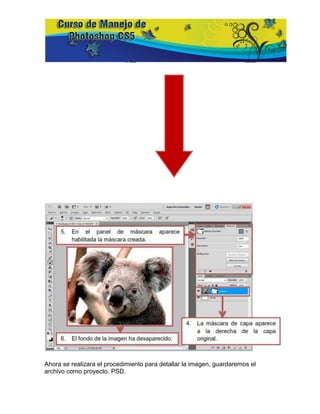 Ahora se realizara el procedimiento para detallar la imagen, guardaremos el
archivo como proyecto. PSD.
 