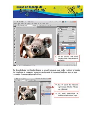 Se debe trabajar con los bordes de la actual máscara para poder redefinir el pelaje
del objeto en la imagen y posteriormente crear la máscara final que será la que
contenga los resultados definitivos.
 