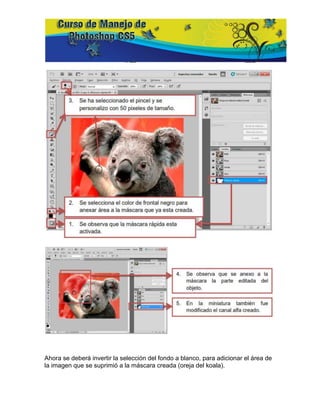 Ahora se deberá invertir la selección del fondo a blanco, para adicionar el área de
la imagen que se suprimió a la máscara creada (oreja del koala).
 
