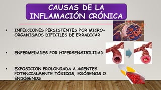 Comprehensive Overview of Acute and Chronic Inflammation: Causes ...