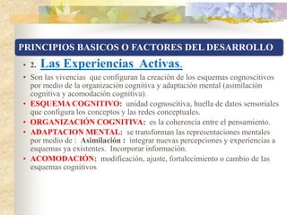 PRINCIPIOS BASICOS O FACTORES
DEL DESARROLLO

• La Interacción Social.
• Es el intercambio de ideas (palabras) y conductas...
