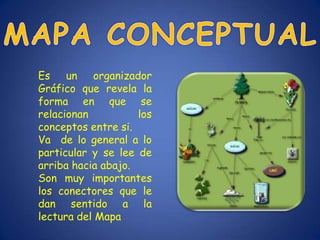 Es un organizador
Gráfico que revela la
forma en que se
relacionan          los
conceptos entre si.
Va de lo general a lo
particular y se lee de
arriba hacia abajo.
Son muy importantes
los conectores que le
dan sentido a la
lectura del Mapa
 