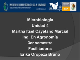 Microbiología
Unidad 4
Martha Itsel Cayetano Marcial
Ing. En Agronomía
3er semestre
Facilitadora:
Erika Oropeza Bruno

 
