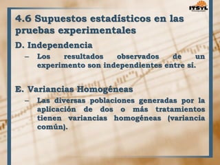4.6 Supuestos estadísticos en las 
pruebas experimentales 
D. Independencia 
– Los resultados observados de un 
experimento son independientes entre sí. 
E. Variancias Homogéneas 
– Las diversas poblaciones generadas por la 
aplicación de dos o más tratamientos 
tienen variancias homogéneas (variancia 
común). 
 
