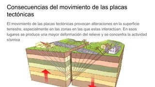 Consecuencias del movimiento de las placas
tectónicas
El movimiento de las placas tectónicas provocan alteraciones en la superficie
terrestre, especialmente en las zonas en las que estas interactúan. En esos
lugares se produce una mayor deformación del relieve y se concentra la actividad
sísmica
 