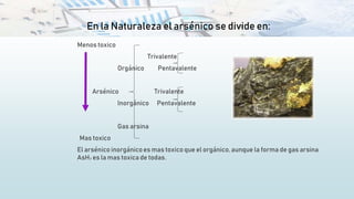 En la Naturaleza el arsénico se divide en:
Menos toxico
Trivalente
Orgánico Pentavalente
Arsénico Trivalente
Inorgánico Pentavalente
Gas arsina
Mas toxico
El arsénico inorgánicoes mas toxico que el orgánico, aunque la forma de gas arsina
AsH₃ es la mas toxica de todas.
 