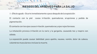 RIESGOS DEL ARSENICO PARA LA SALUD
1.- Efecto agudo.-Ocurre inmediatamenteo poco después de la exposición:
El contacto con la piel causa irritación, quemaduras, erupciones y pedida de
pigmentación.
El contacto con los ojos causa irritación, quemaduras y ojos rojos llorosos.
La inhalación provoca irritación en la nariz y la garganta, causando tos y respiro con
silbido.
La exposición puede causar debilidad, poco apetito, nausea, vomito, dolor de cabeza,
calambres musculares e incluso la muerte.
 