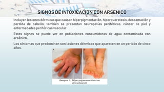 SIGNOS DE INTOXICACION CON ARSENICO
Incluyen lesiones dérmicas que causan hiperpigmentación, hiperqueratosis, descamación y
perdida de cabello, también se presentan neuropatías periféricas, cáncer de piel y
enfermedades periféricas vascular.
Estos signos se puede ver en poblaciones consumidoras de agua contaminada con
arsénico.
Los síntomas que predominan son lesiones dérmicas que aparecen en un periodo de cinco
años.
 