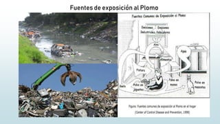 Fuentes de exposición al Plomo
 