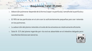 Bioquímica: FASE I PLOMO
o Adsorción pulmonar depende de la forma (vapor vs partícula), tamaño de la partícula y
concentración.
o El 90% de las partículas en el aire son lo suficientemente pequeñas para ser retenida
en los pulmones.
o La adsorción del plomo retenido a través de los alveolos es relativamente eficiente.
o Solo 8- 12 % del plomo ingerido por vía oral es absorbido en el intestino delgado pero
los efectos tóxicos son severos.
 
