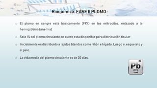 Bioquímica: FASE II PLOMO
o El plomo en sangre esta básicamente (99%) en los eritrocitos, enlazado a la
hemoglobina(anemia)
o Solo 1% del plomo circulante en suero esta disponiblepara distribucióntisular
o Inicialmente es distribuido a tejidos blandos como riñón e hígado. Luego al esqueleto y
al pelo.
o La vida media del plomo circulante es de 30 días.
 