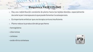 Bioquímica: FASE V PLOMO
o Hay una redistribución constante de plomo hacia los tejidos blandos, especialmente
durante la peri menopausia lo que puede fomentar la osteoporosis.
o Es importante enfatizar que una terapia corta es insuficiente.
o Plomo reduce la produccióndel grupo Hemo
- hemoglobina
- citocromos
- catalasa
- oxido nítrico sintetasa
 