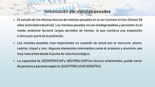 Intoxicación por metales pesados
 El estudio de los efectos tóxicos de metales pesados en el ser humano en los últimos 50
años (actividad industrial). Los metales pesados no son biodegradables y persisten en el
medio ambiente durante largos periodos de tiempo, lo que conlleva una exposición
crónica por parte de la población.
 Los metales pesados mas importantes en cuestión de salud son el mercurio, plomo,
cadmio, níquel y zinc. Algunos elementos intermedios como el arsénico y aluminio, son
muy relevantes desde el punto de vista toxicológico.
 La capacidad de DESINTOXICAR y NEUTRALIZAR los tóxicos ambientales, puede variar
de persona a persona según la SUSCPTIBILIDAD GENETICA.
 